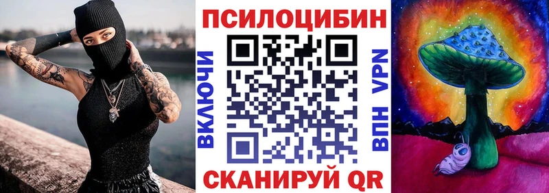 купить  цена  дарк нет состав  Псилоцибиновые грибы ЛСД  Новое Девяткино 